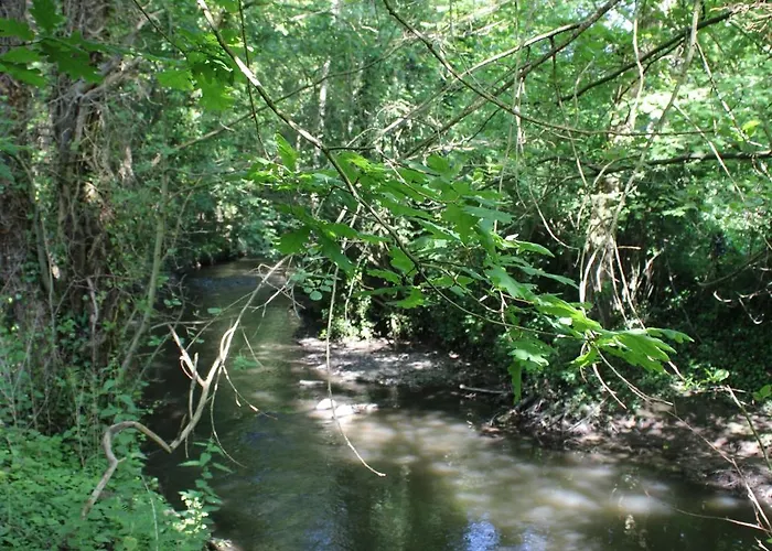 L'orée Hébergement de vacances